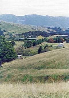 Farm at Springhill