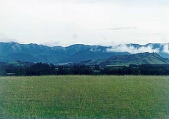Our Springhill Farm