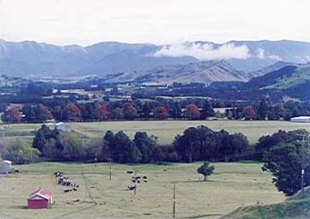 Our Springhill Farm