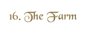 Chapter 16: The Farm