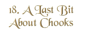 Chapter 18: A Last Bit About Chooks