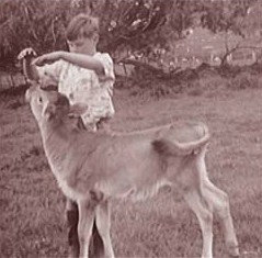 Leo and calf