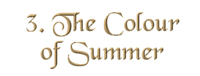 Chapter 3: The Colour of Summer