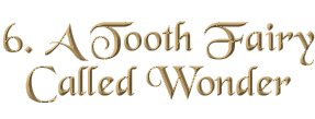 Chapter 6: A Tooth Fairy Called Wonder
