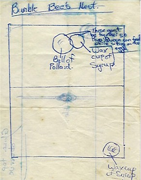 Plan for bee's nest