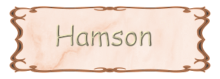 HAMSON