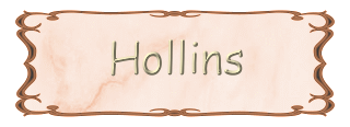 HOLLINS