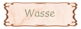 WASSE