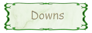 DOWNS