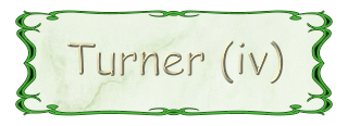 TURNER IV