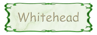 WHITEHEAD