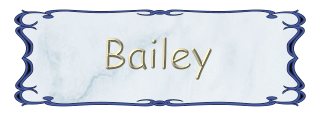 BAILEY