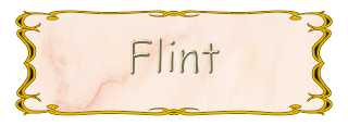 FLINT