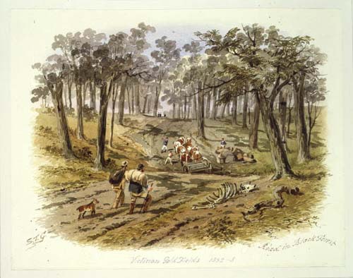 Picture: 'Road in Black Forest'